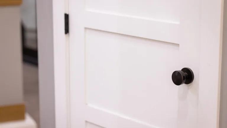 Close-up of a white paneled door with a matte black round door knob.